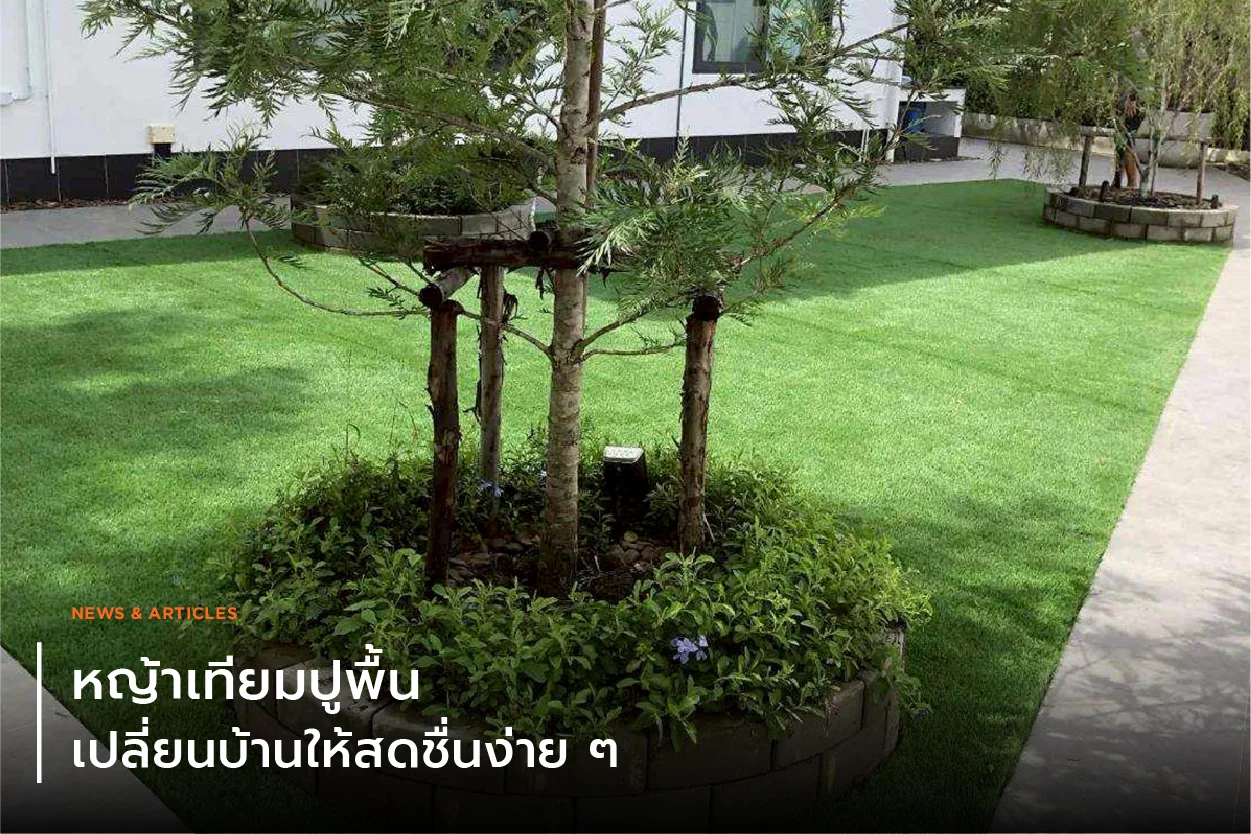 หญ้าเทียมปูพื้น เปลี่ยนบ้านให้สดชื่นง่าย ๆ