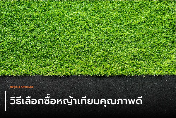 วิธีเลือกซื้อหญ้าเทียมคุณภาพดี