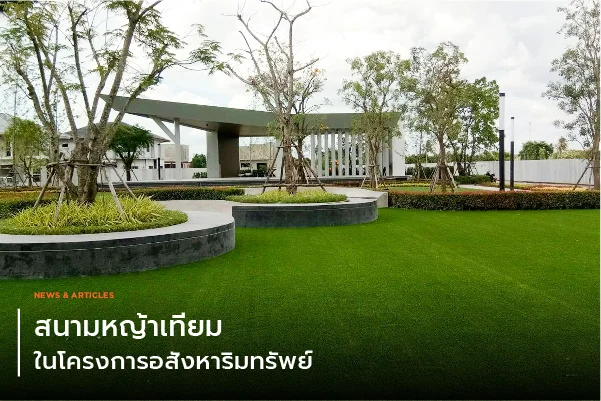 สนามหญ้าเทียมในโครงการอสังหาริมทรัพย์