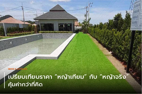 เปรียบเทียบราคาหญ้าเทียมกับหญ้าจริงคุ้มค่ากว่าที่คิด