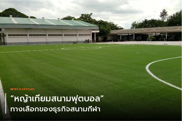 หญ้าเทียมสนามฟุตบอลทางเลือกของธุรกิจสนามกีฬา
