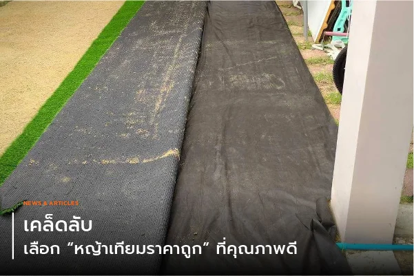 เคล็ดลับเลือกหญ้าเทียมราคาถูกที่คุณภาพดี