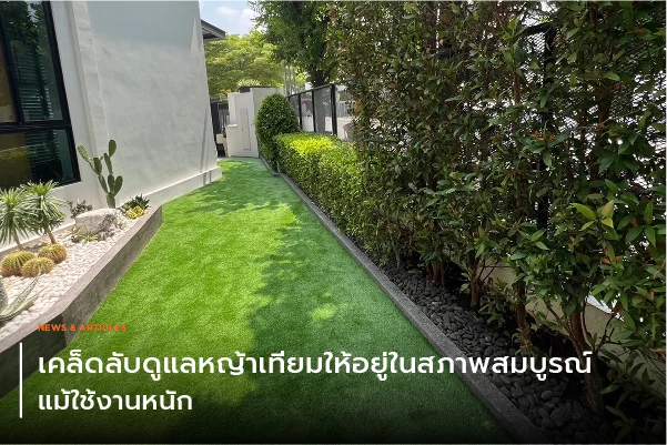 เคล็ดลับดูแลหญ้าเทียมให้อยู่ในสภาพสมบูรณ์ แม้ใช้งานหนัก