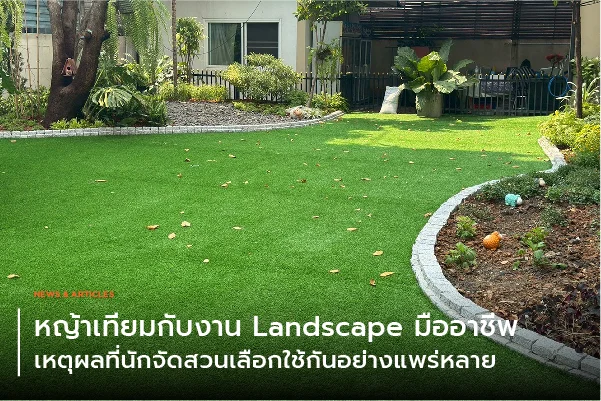 หญ้าเทียมกับงาน Landscape มืออาชีพ – เหตุผลที่นักจัดสวนเลือกใช้กันอย่างแพร่หลาย