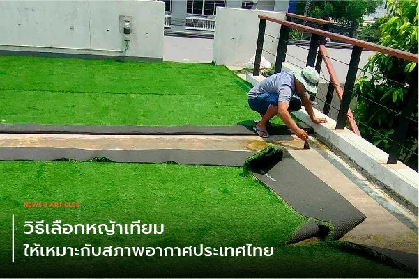 วิธีเลือกหญ้าเทียมให้เหมาะกับสภาพอากาศประเทศไทย