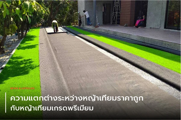 ความแตกต่างระหว่างหญ้าเทียมราคาถูกกับหญ้าเทียมเกรดพรีเมียม