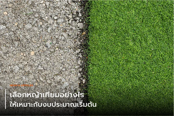 เลือกหญ้าเทียมอย่างไรให้เหมาะกับงบประมาณเริ่มต้น