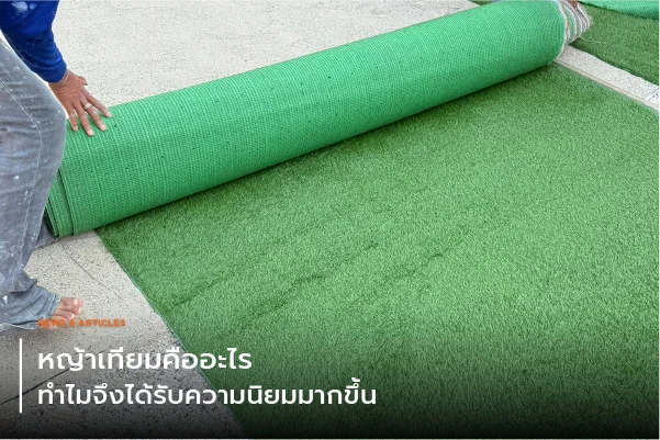 หญ้าเทียมคืออะไร ทำไมจึงได้รับความนิยมมากขึ้น