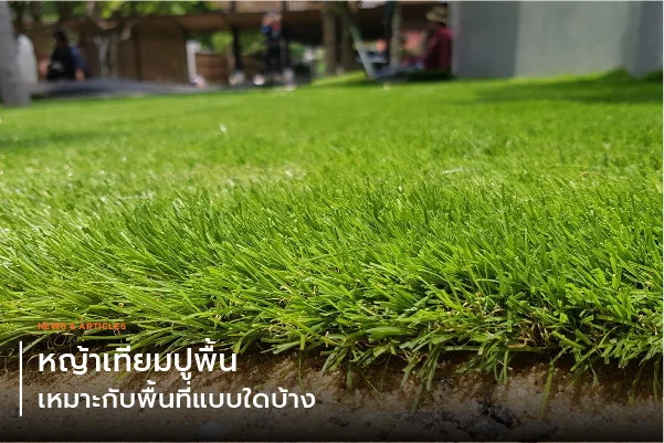 หญ้าเทียมปูพื้นเหมาะกับพื้นที่แบบใดบ้าง