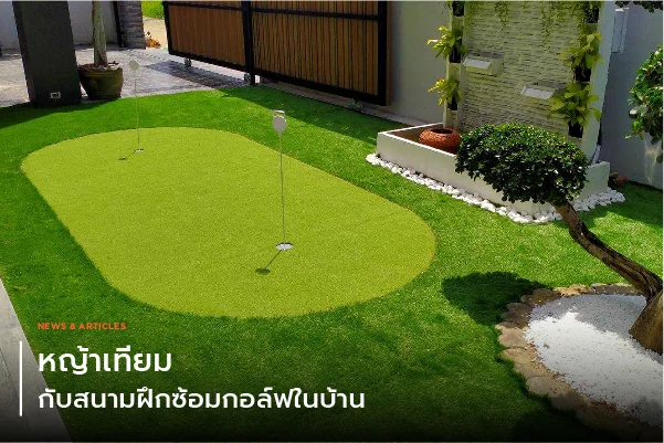 หญ้าเทียมกับสนามฝึกซ้อมกอล์ฟในบ้าน