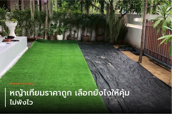หญ้าเทียมราคาถูก เลือกยังไงให้คุ้ม ไม่พังไว