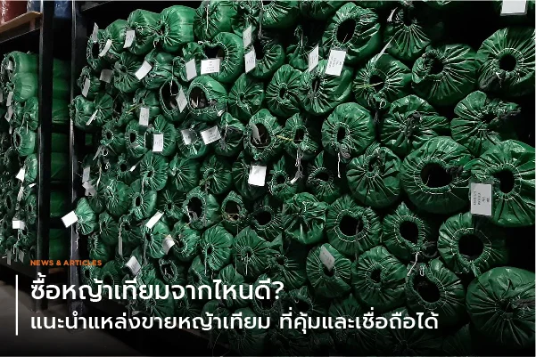 ซื้อหญ้าเทียมจากไหนดี? แนะนำแหล่งขายหญ้าเทียม ที่คุ้มและเชื่อถือได้