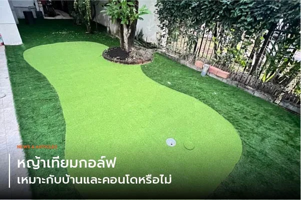 หญ้าเทียมกอล์ฟ เหมาะกับบ้านและคอนโดหรือไม่
