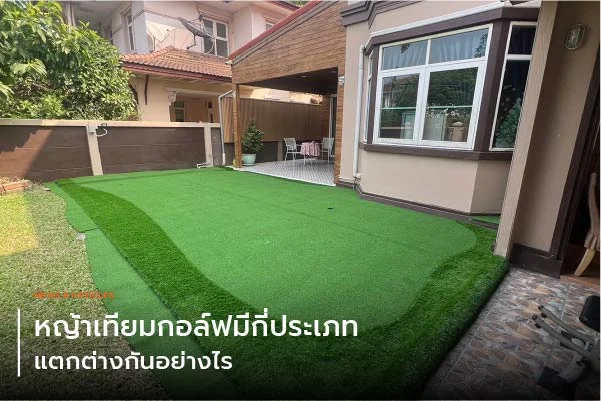 หญ้าเทียมกอล์ฟมีกี่ประเภท แตกต่างกันอย่างไร