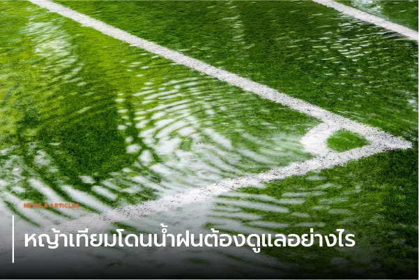 หญ้าเทียมโดนน้ำฝนต้องดูแลอย่างไร