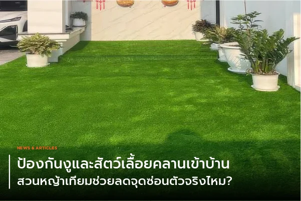 ป้องกันงูและสัตว์เลื้อยคลานเข้าบ้าน สวนหญ้าเทียมช่วยลดจุดซ่อนตัวจริงไหม?